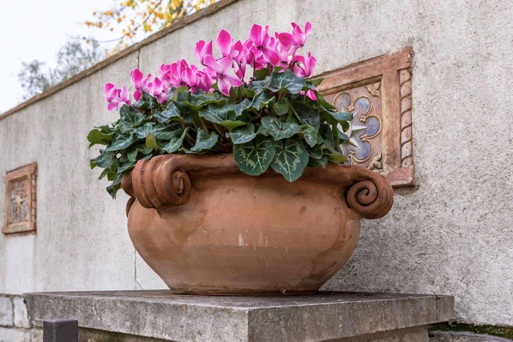 San Galigano Appartamento Perugia Esterno foto